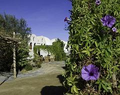 Bahariya Lodge IMGP4483